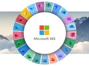 İşletmeler İçin Doğru Microsoft 365 Lisansını Seçme Rehberi