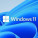 Microsoft Windows 11 Lisans
