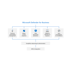 Microsoft Defender for Business Servers - Yıllık Lisans