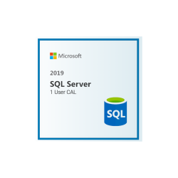 SQL Server 2019 - 1 User CAL