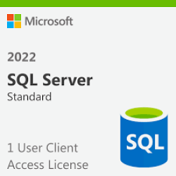 SQL Server 2022 - 1 User CAL Lisans